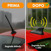 P80 PRO — Antenna auto AutoVita