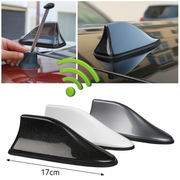 P80 PRO — Antenna auto AutoVita